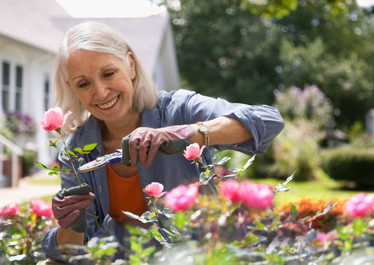 Regenerlife Healthy Aging - Energy & Vitality