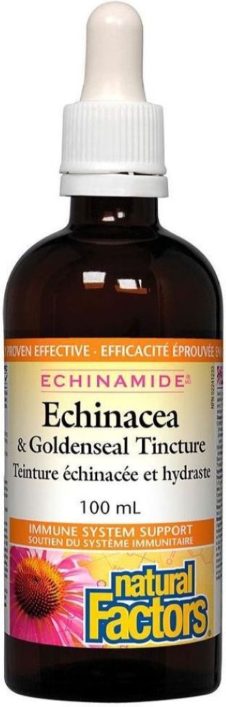 NATURAL FACTORS Echinacea Goldenseal (100 ml)