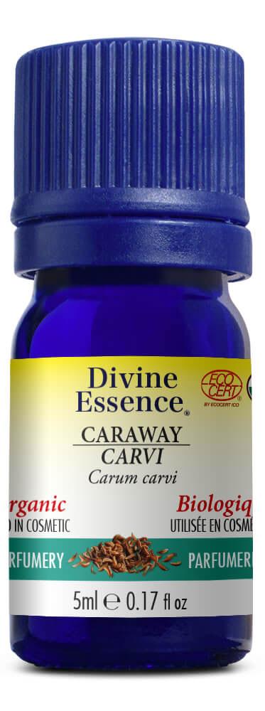 DIVINE ESSENCE Caraway (Organic - 5 ml)