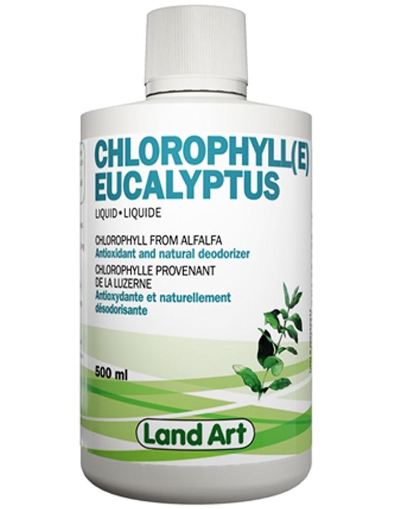 LAND ART Chlorophyll Concentrated 5x (Eucalyptus - 500 ml)
