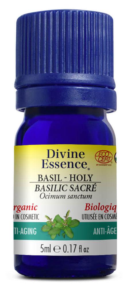 DIVINE ESSENCE Basil - Holy  (Organic - 5 ml)