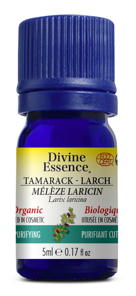 DIVINE ESSENCE Larch Tamarack (Organic - 5 ml)